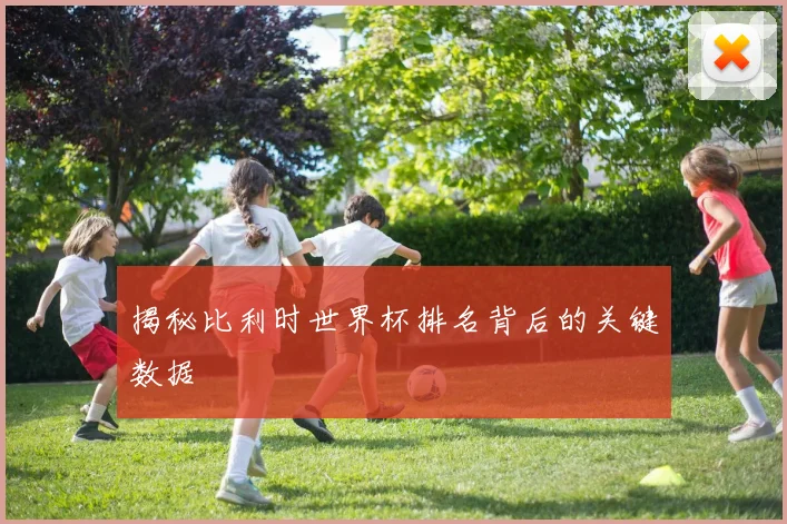 揭秘比利时世界杯排名背后的关键数据